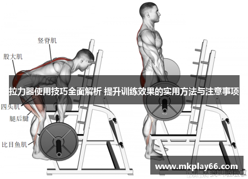 拉力器使用技巧全面解析 提升训练效果的实用方法与注意事项