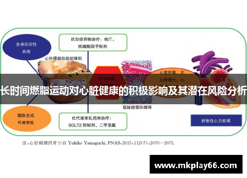 长时间燃脂运动对心脏健康的积极影响及其潜在风险分析